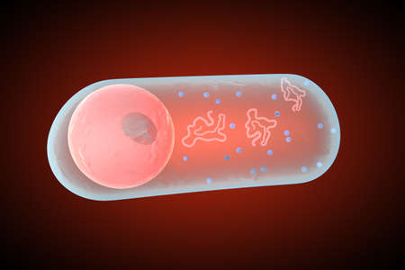 3D Cell with nucleus visible