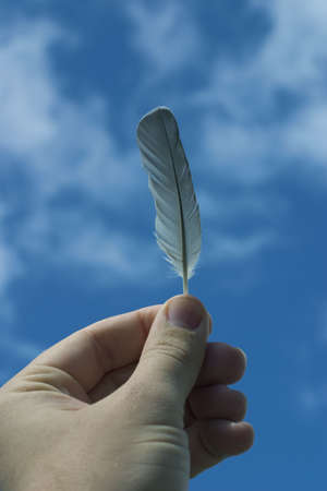 Hand holding feather up to the skyの写真素材