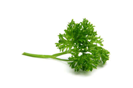 Isolated Parsley on a white background
の写真素材