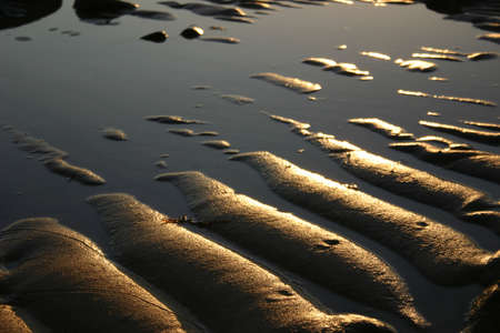 Ripples of sand with water