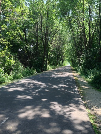 Summer Trailの写真素材