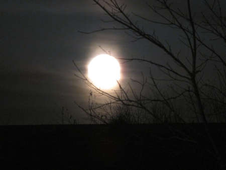 Winter Moonの写真素材