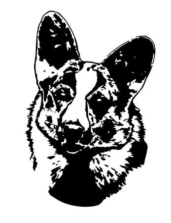 welsh corgi cardigan blackのイラスト素材