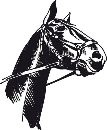 Horse with bridle, Retro Vector Illustrationのイラスト素材