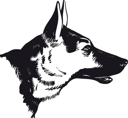 German shepherd dog, Retro Vector Illustrationのイラスト素材