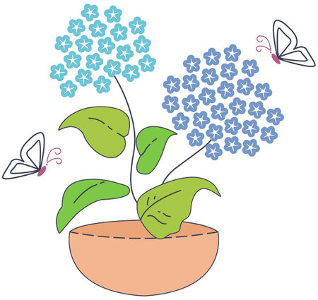Flowerpot with hydrangea and butterfly. Vector illustrationのイラスト素材