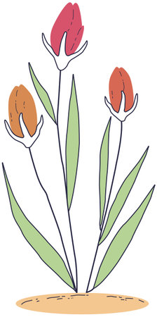 Hand drawn tulip flowers on a white background. Vector illustration.のイラスト素材