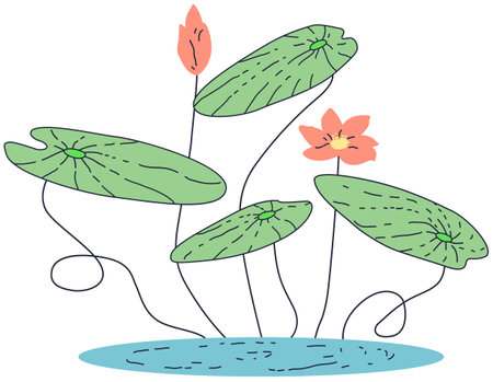 Illustration of a lotus flower in a pond on a white backgroundのイラスト素材