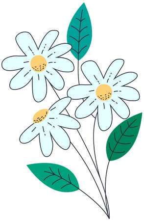 Beautiful daisies with leaves on a white background. Vector illustration.のイラスト素材