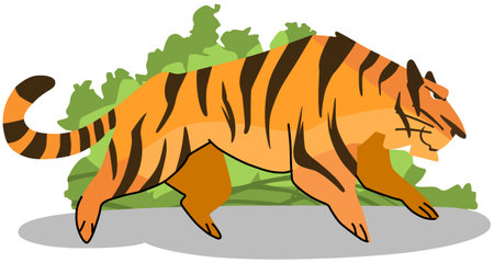 Illustration of a tiger walking on the ground with lettuce in the backgroundのイラスト素材