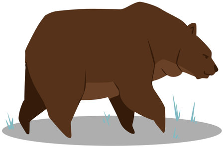 Illustration of a brown bear on a white background, vector illustrationのイラスト素材