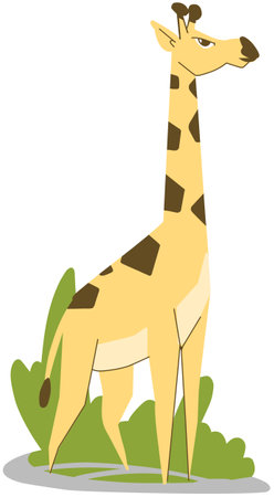 Giraffe on a white background. Vector illustration of a giraffe.のイラスト素材