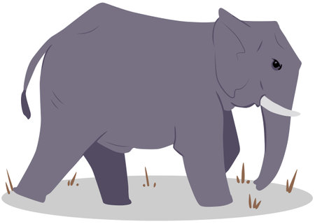 Illustration of an elephant in a field on a white background.のイラスト素材