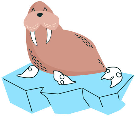 This cute walrus is a perfect image for your next design.のイラスト素材