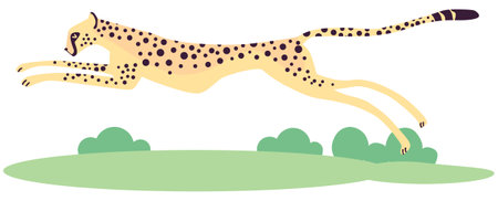 Cheetah running in the savannah on white background vector illustrationのイラスト素材