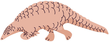 Use this image of an armadillo in your next design.のイラスト素材