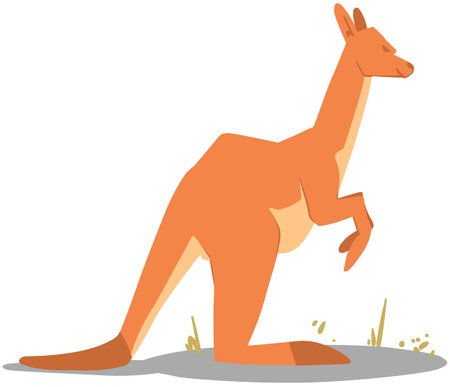 Use this image of a kangaroo on your next design.のイラスト素材