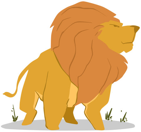 Lion. Illustration on white background for graphic and web design.のイラスト素材