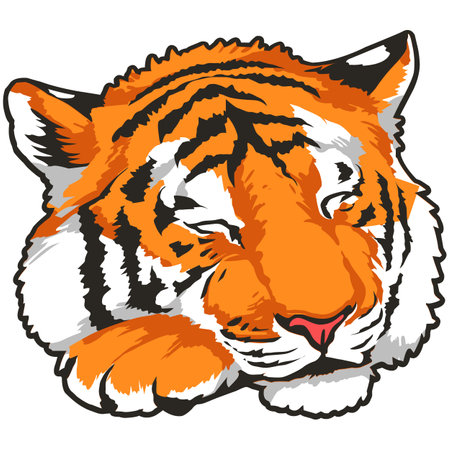 Tiger head on a white background, vector illustration, epsのイラスト素材