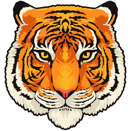 Tiger head vector illustration. Isolated on white background. Vector illustration.のイラスト素材