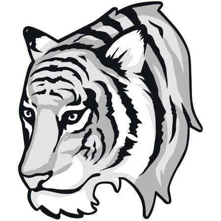 Tiger head.Vector illustration ready for vinyl cutting. - color + b/w versions.のイラスト素材