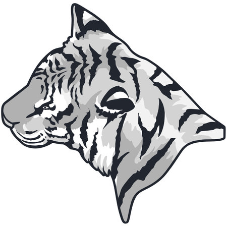 Tiger head.Vector illustration ready for vinyl cutting on white background.のイラスト素材