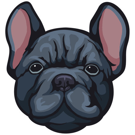 French bulldog head. Vector illustration of a french bulldog head.のイラスト素材