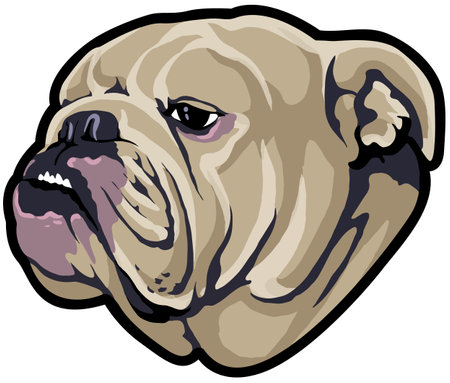 Bulldog head.Vector illustration ready for vinyl cutting on white background.のイラスト素材