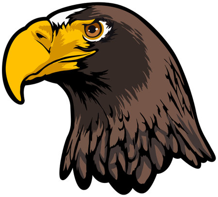 Eagle Head Vector Illustration - Colored Cartoon Style - Vectorのイラスト素材
