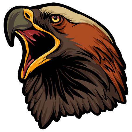 Eagle head on a white background. Vector illustration, eps10のイラスト素材