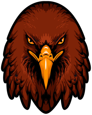 Eagle head. Vector illustration of a head of an eagle.のイラスト素材