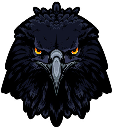 Eagle head on a white background. Vector illustration, eps 10のイラスト素材