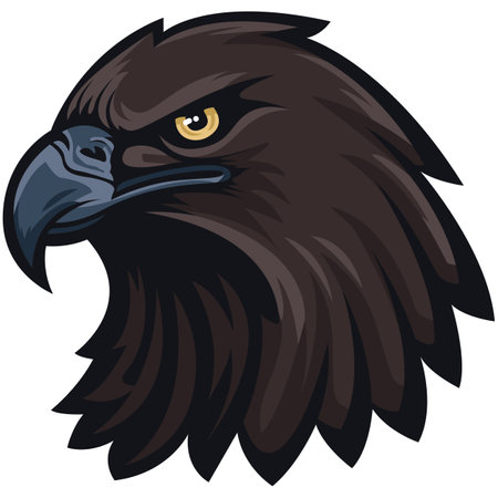 Illustration of an american eagle head viewed from front set on isolated white background done in cartoon style.のイラスト素材