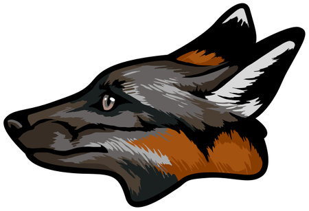 Illustration of a German Shepherd head viewed from side on isolated white background done in cartoon style.のイラスト素材