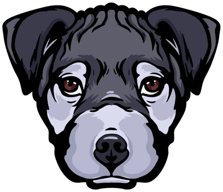 Illustration of a Pit Bull Terrier Dog Head Mascotのイラスト素材
