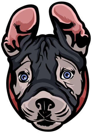 Bulldog head. Mascot template. Vector illustration ready for vinyl cutting.のイラスト素材