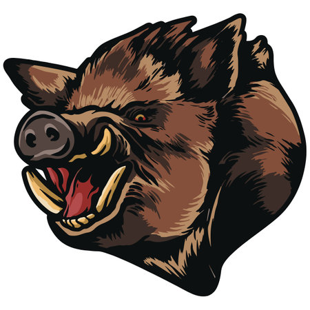 Vector image of a wild boar head. Wild boar head.のイラスト素材