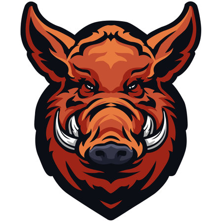 Mascot illustration of a wild boar head viewed from front set inside circle on isolated white background.のイラスト素材