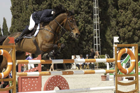 A rider above a jump called oxer on a show jumping competition. The horse shows a perfect jump.の写真素材