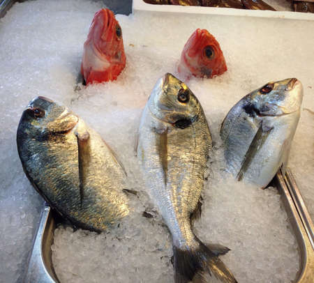 I can see youの素材