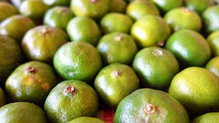 A lot of Shikwasa Okinawa Hirami Lemon Close-up