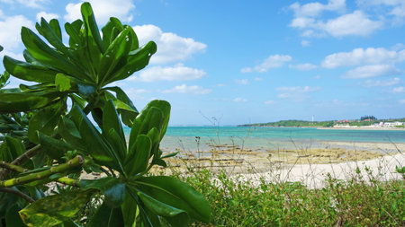 landscape of okinawa uza beach okinawa prefecture yomitan villageの写真素材