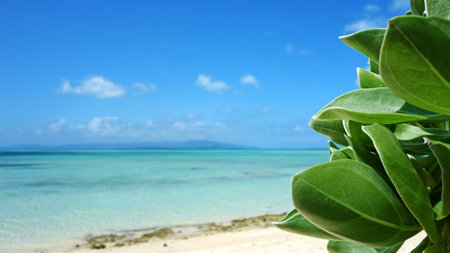 Kaiji Beach, Okinawa: A spectacular view of the sea on Taketomi Islandの写真素材