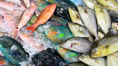 Fresh colorful fish on display at a market in Okinawaの写真素材