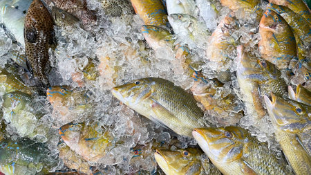 Fresh colorful fish on display at a market in Okinawaの写真素材