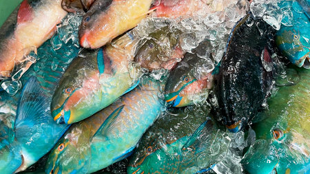 Fresh and colorful Okinawan fish lined up at the marketの写真素材