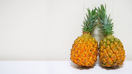 Two fresh pineapples lined up with copy spaceの写真素材