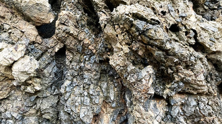 Beautiful natural rock textures, Okinawa, Japan