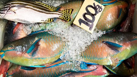 Fresh and colorful Okinawan fish lined up at the market