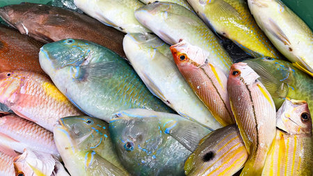 Fresh and colorful Okinawan fish lined up at the market